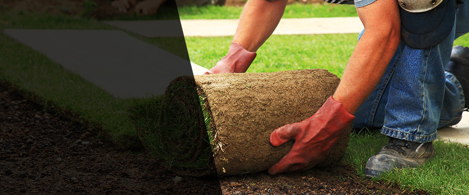 Childress Landscapers